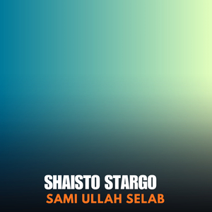 Shaisto Stargo