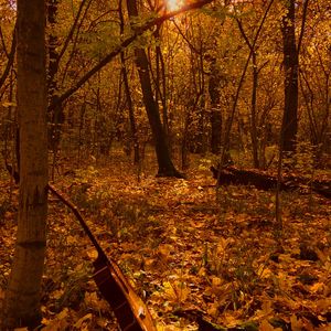 Про пиво: Acoustic