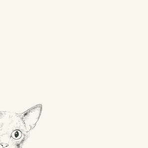 cat burglar（Cover PDD洪荒之力）