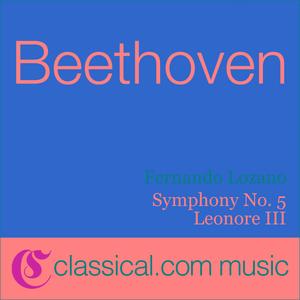 Symphony No. 5 in C minor, Op. 67 (Beethoven's Fifth) - Andante con moto