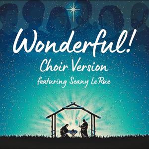 Wonderful! (feat. Seany Le'Rue) (Choir Version)