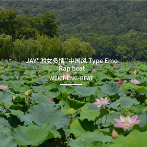 JAY"湘女多情"中国风 Type Emo Rap beat