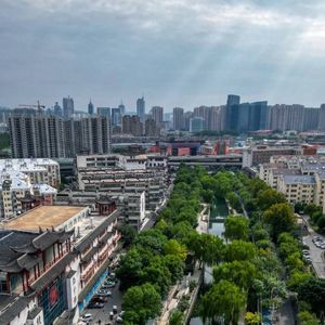 滑头 (4)
