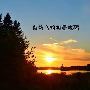 白鸽乌鸦相爱的戏码 (故事版)