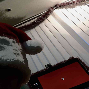 прощай еще один ублюдский год.