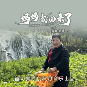 妈妈，我回来了 (伴奏)