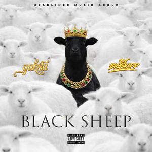 Black Sheep