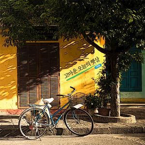 고마운 오늘의 햇살