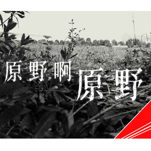 原野啊原野（洛天依本家）