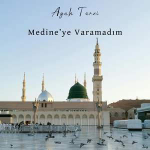 Medine'ye Varamadım