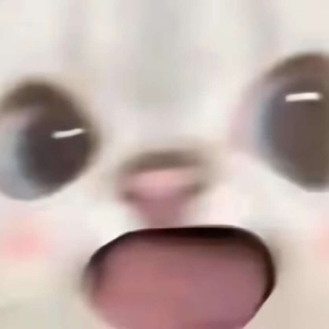 一笑倾城(cover:汪苏泷)