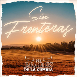 Mix Ritmo Saltón / Si Te Vas No Hay Lío / La Recién Casada / El Chofer