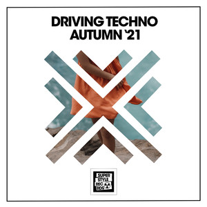 Low Transform (Original Mix)