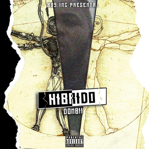 Híbrido