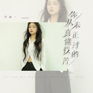你从未真正懂过我的苦