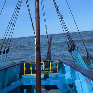 Leave The World Behind