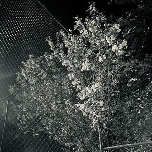 梦痛（prod by Cap-12）