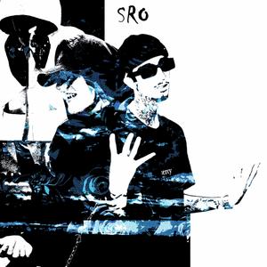 s.r.o. (feat. Resetedh)