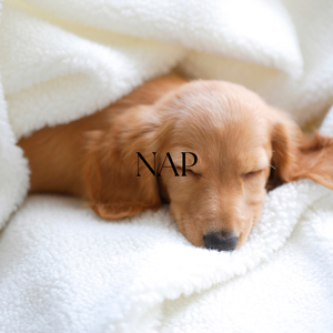Nap