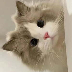 Memory Reboot slowed