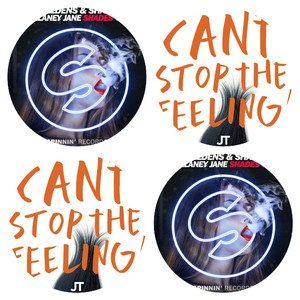 Justin Timberlake / Oliver Heldens / Delaney Jane - Shades Of Feeling（张晋瑞 remix）