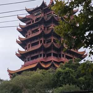 我的青春回头看了我一眼