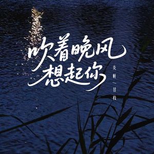 吹着晚风想起你