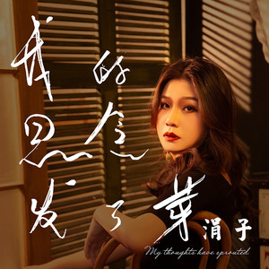 我的思念发了芽