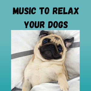 Dog Music for Sleep