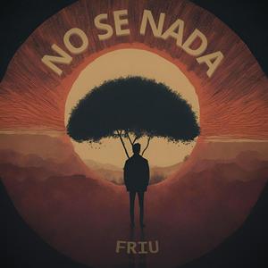 No Se Nada