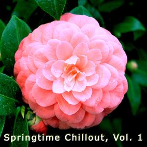 Tonite's Stars (Springbreak Mix)