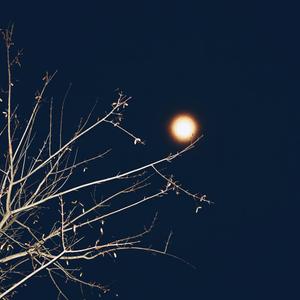 你曾是我的欢喜