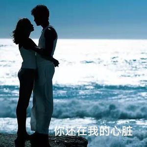 你还在我的心脏