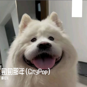 匆匆那年(CityPop)