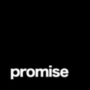The Promise (Dj T.c. Hardstyle Edit)