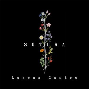 ¿Cómo Lo Explico?