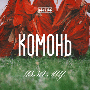 Из-за лесу темного