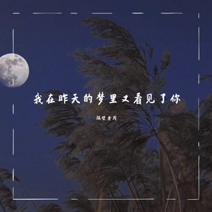 我在昨天的梦里又看见了你