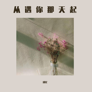 从遇你那天起 伴奏