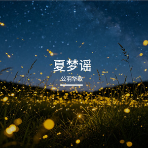 夏夜的小星星