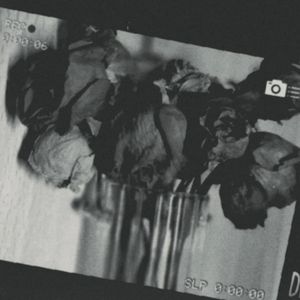 不想遇见你 (prod.siren&EVO MUSIC)