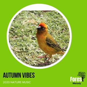 Calming Music of Water Trickling