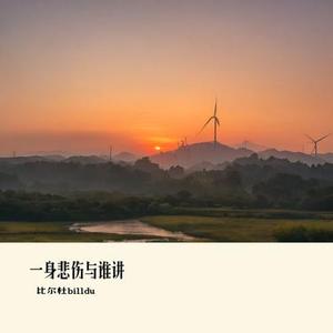 一身悲伤与谁讲