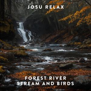 Forest River Stream and Birds