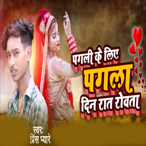 Pgli Ke Liye Pgla Din Rat Rovta