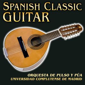Recuerdos de la Alahambra (Guitar Orchestra version)