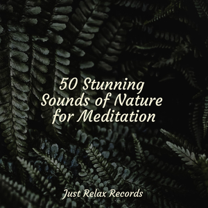 Whispering Petals Filled the Sky