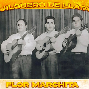 Treinta Lenguas