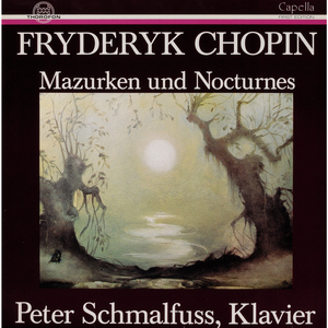 Nocturne für Klavier in E Minor, Op. 72, No. 1 (Oeuvre posthume)