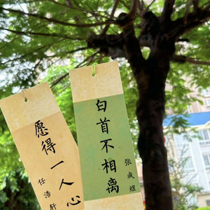 任浩轩and张成煜